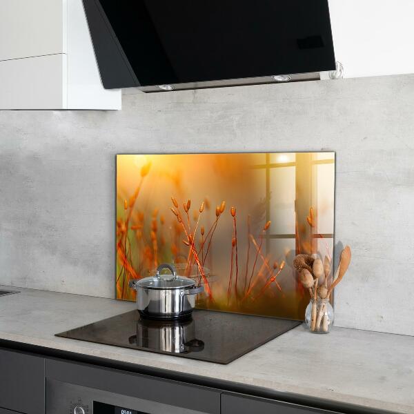 Foto achterwand keuken Graanveld bij zonsondergang