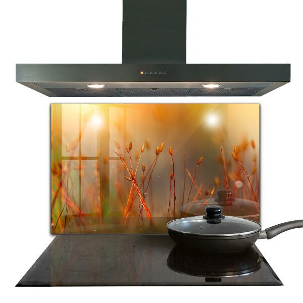 Foto achterwand keuken Graanveld bij zonsondergang