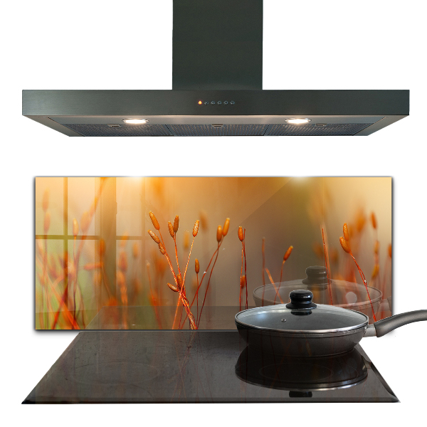 Foto achterwand keuken Graanveld bij zonsondergang