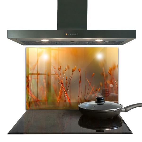 Foto achterwand keuken Graanveld bij zonsondergang