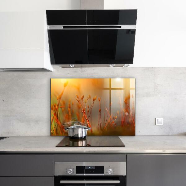 Foto achterwand keuken Graanveld bij zonsondergang