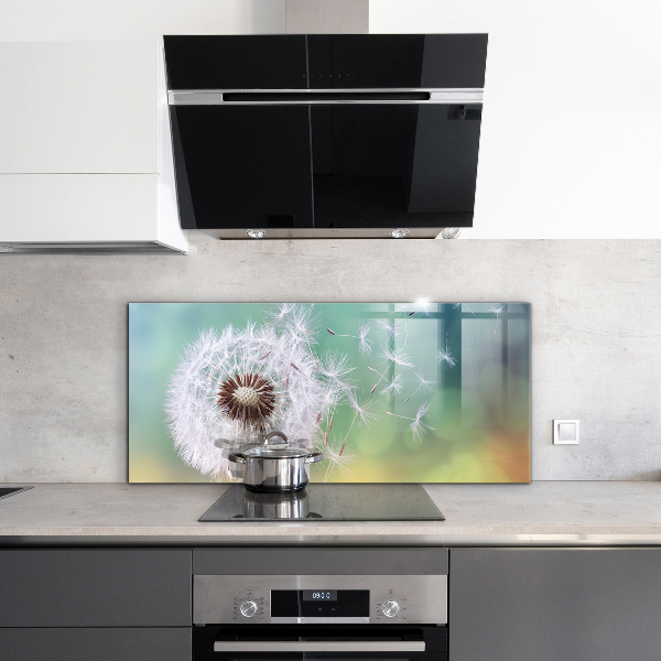 Spatplaat keuken Paardenbloem in de wind