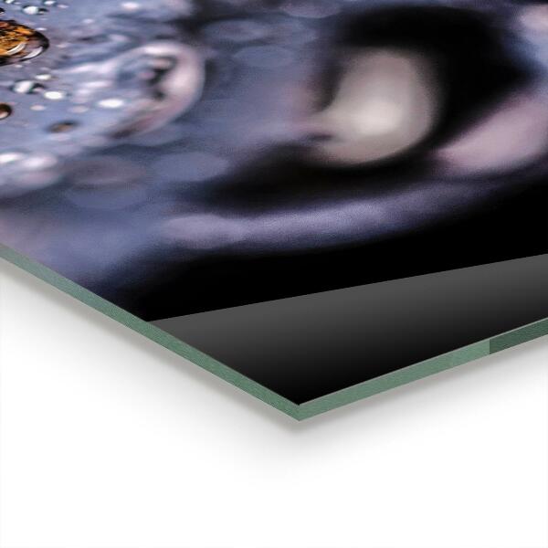 Achterwand keuken Sappige bosbessen