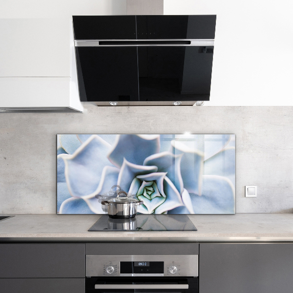 Achterwand keuken Cactus Succulent