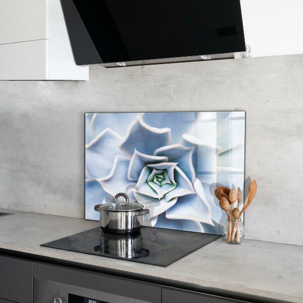 Achterwand keuken Cactus Succulent