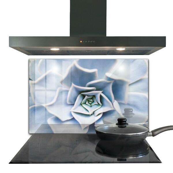 Achterwand keuken Cactus Succulent