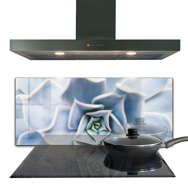 Achterwand keuken Cactus Succulent