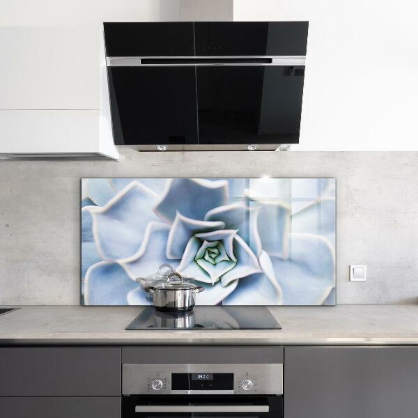 Achterwand keuken Cactus Succulent