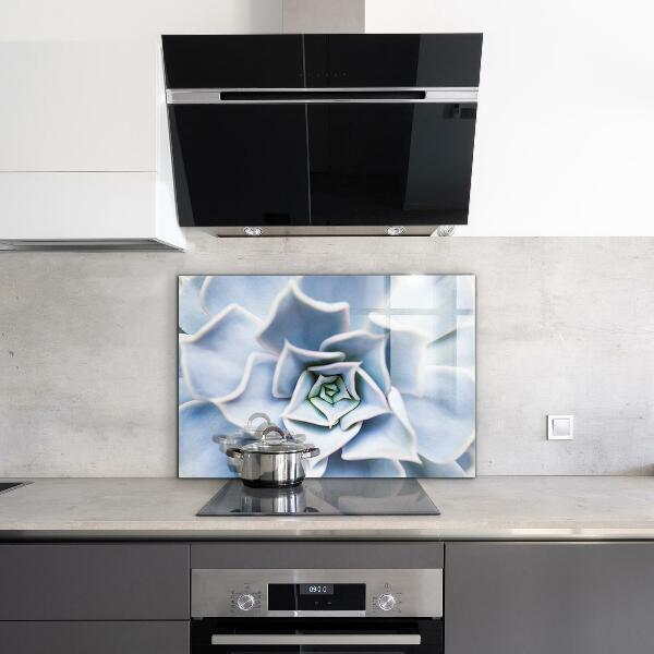 Achterwand keuken Cactus Succulent