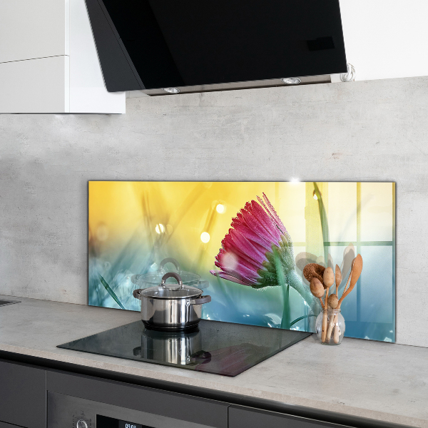 Foto achterwand keuken Teder madeliefje in de wei