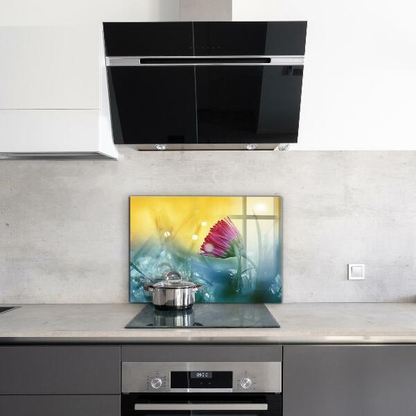 Foto achterwand keuken Teder madeliefje in de wei