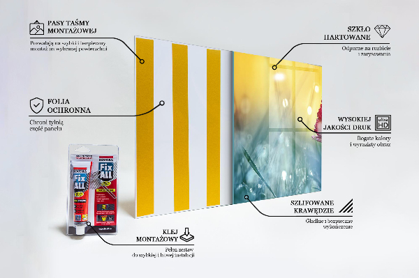 Foto achterwand keuken Teder madeliefje in de wei