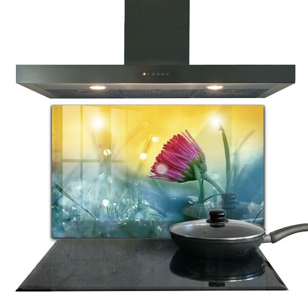 Foto achterwand keuken Teder madeliefje in de wei