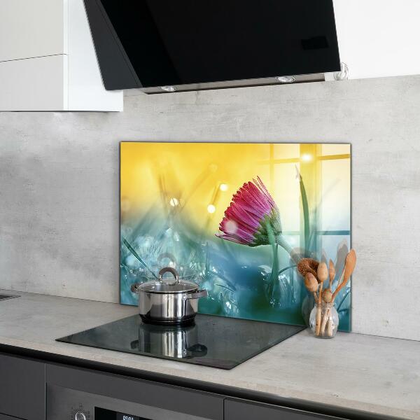 Foto achterwand keuken Teder madeliefje in de wei