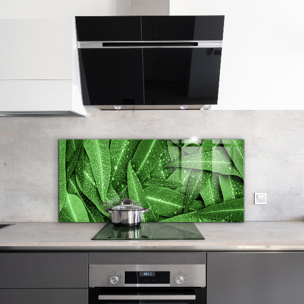 Keuken achterwand glas Groene bladeren na de regen