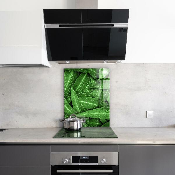 Keuken achterwand glas Groene bladeren na de regen