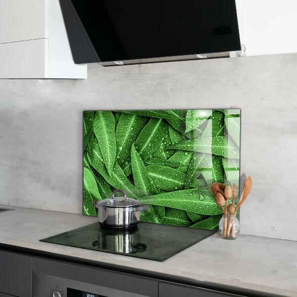 Keuken achterwand glas Groene bladeren na de regen