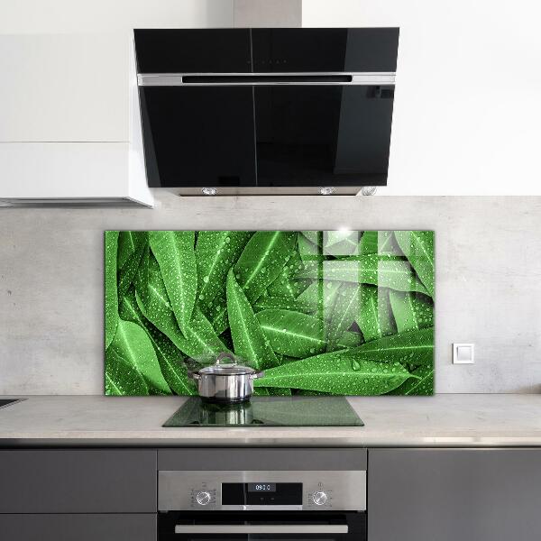 Keuken achterwand glas Groene bladeren na de regen
