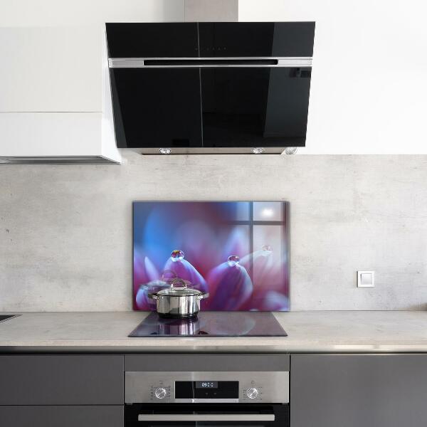 Foto achterwand keuken Dauwdruppels Paarse Bloem
