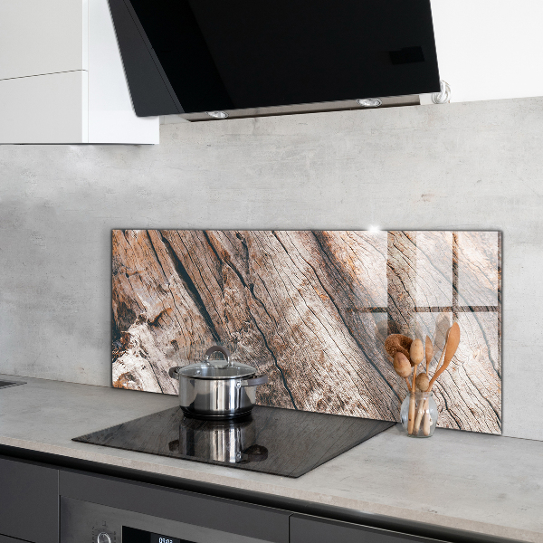 Spatscherm keuken glas Structuur van boomschors en stam