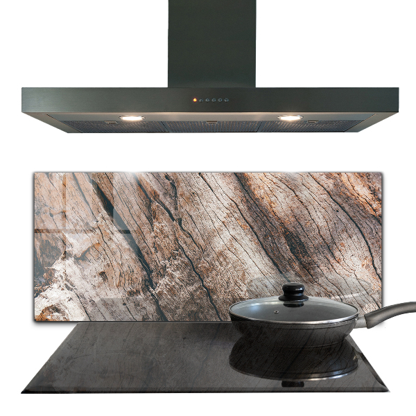 Spatscherm keuken glas Structuur van boomschors en stam