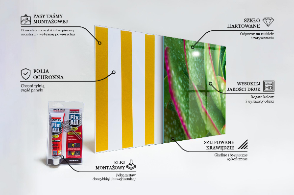 Spatplaat keuken Vetplanten rotstuin groen