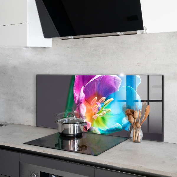 Keuken achterwand glas Kleurrijke regenboogbloem