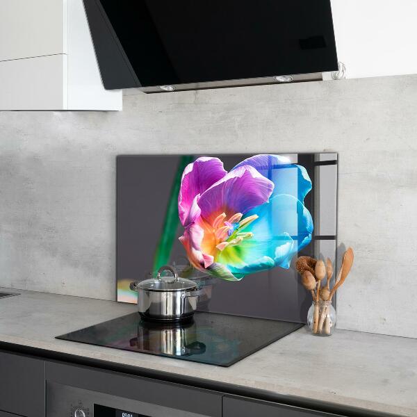 Keuken achterwand glas Kleurrijke regenboogbloem