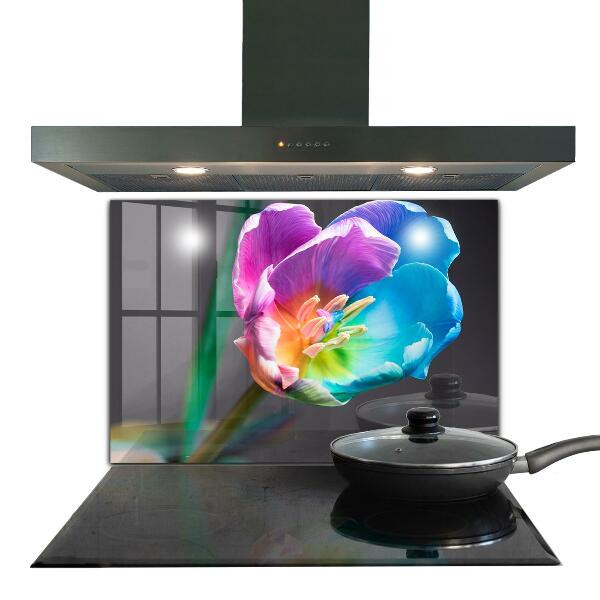 Keuken achterwand glas Kleurrijke regenboogbloem