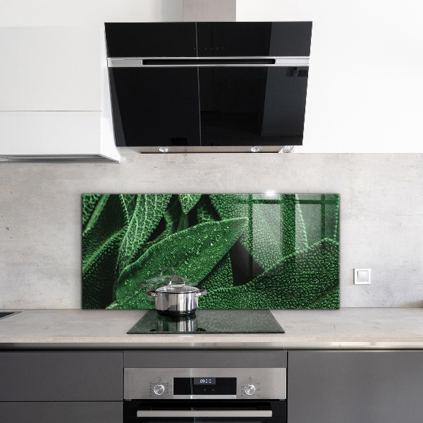 Spatscherm keuken glas Groene bladeren na de regen