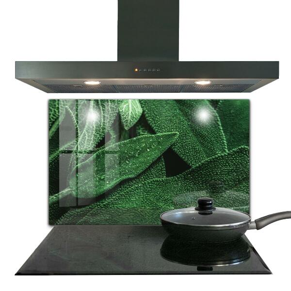 Spatscherm keuken glas Groene bladeren na de regen