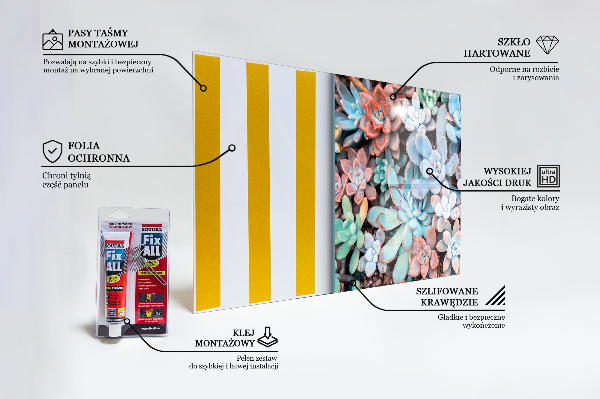 Foto achterwand keuken Kleurrijke vetplanten