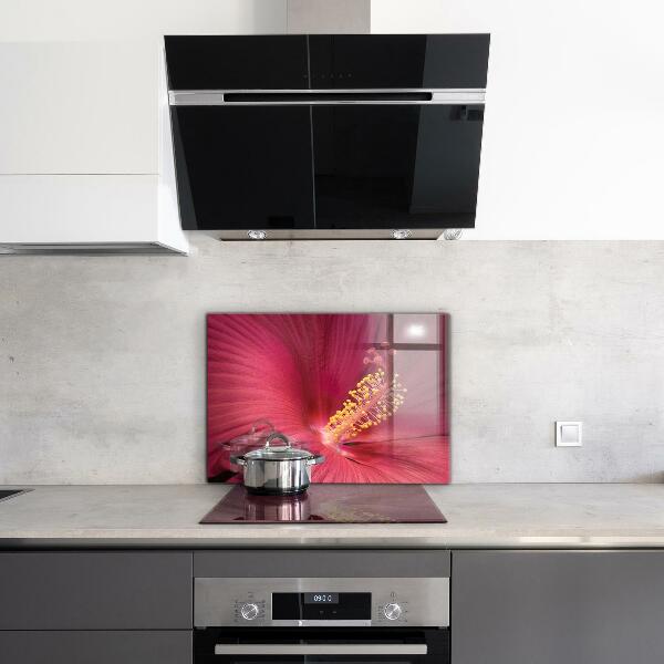 Spatscherm keuken glas Roze hibiscus