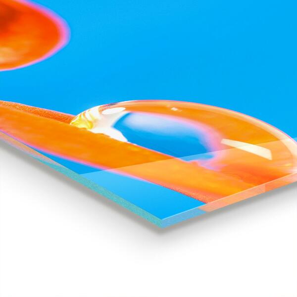 Keuken achterwand glas Oranjebloem