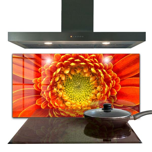 Spatplaat keuken Oranje Gerbera Bloem