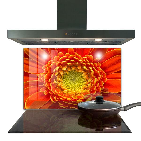 Spatplaat keuken Oranje Gerbera Bloem