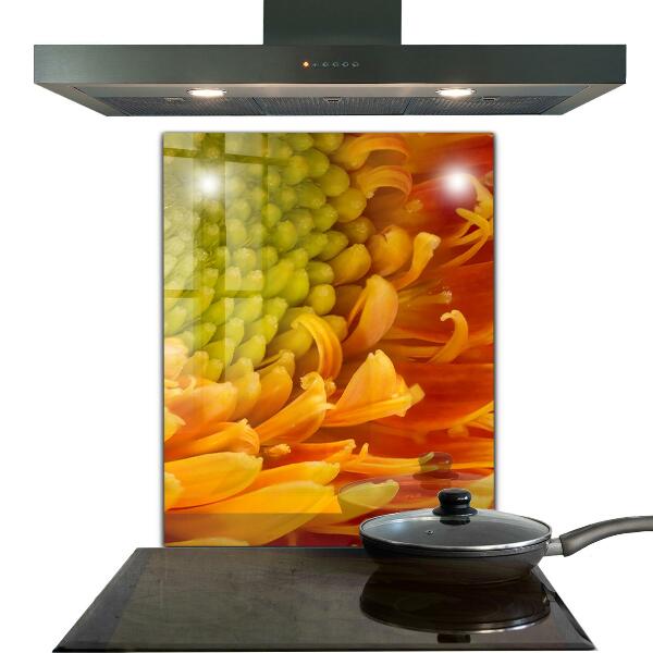 Spatscherm keuken glas Gerbera bloem oranje