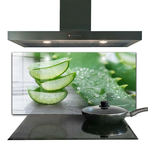 Foto achterwand keuken Aloë vera-plant