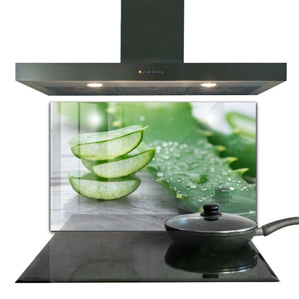 Foto achterwand keuken Aloë vera-plant