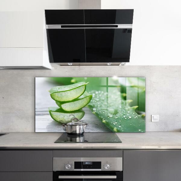 Foto achterwand keuken Aloë vera-plant