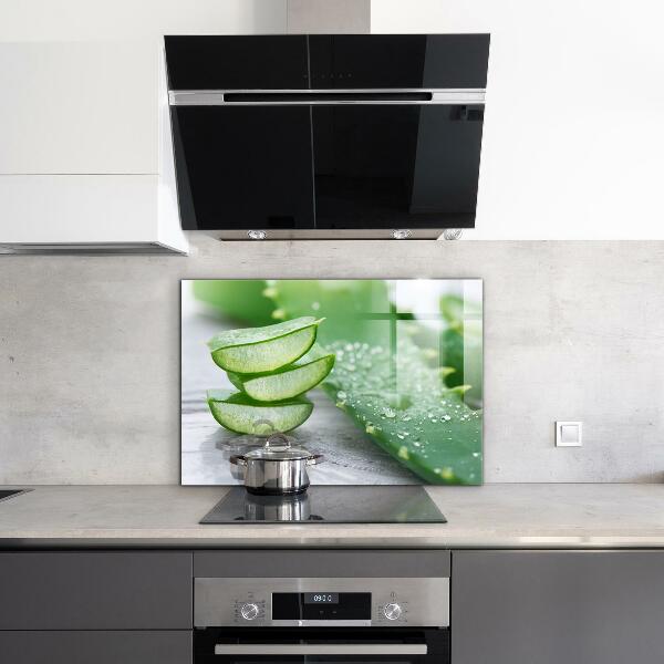 Foto achterwand keuken Aloë vera-plant