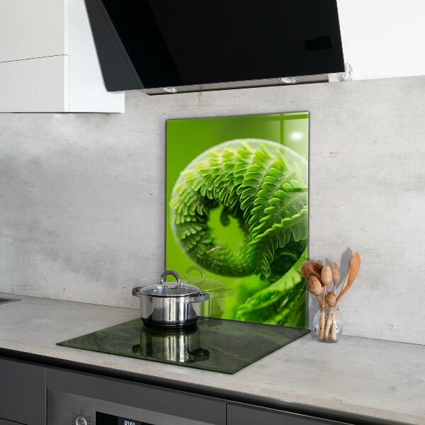 Spatscherm keuken glas Groen varenblad