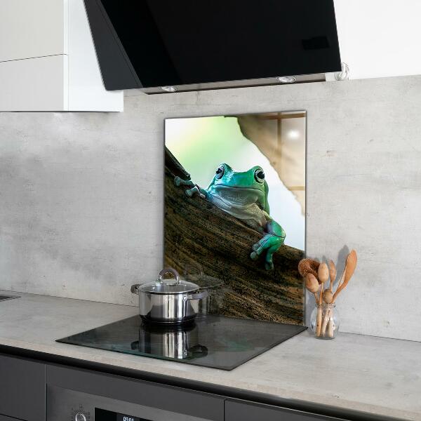 Spatscherm keuken glas Nieuwsgierige kikker op een blad