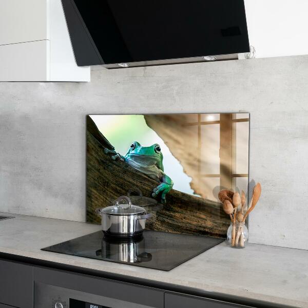 Spatscherm keuken glas Nieuwsgierige kikker op een blad