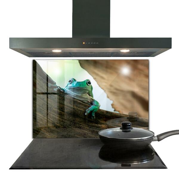 Spatscherm keuken glas Nieuwsgierige kikker op een blad