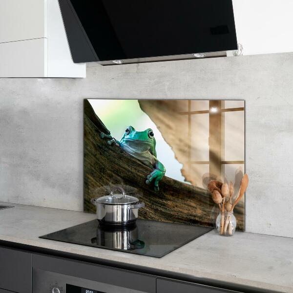 Spatscherm keuken glas Nieuwsgierige kikker op een blad