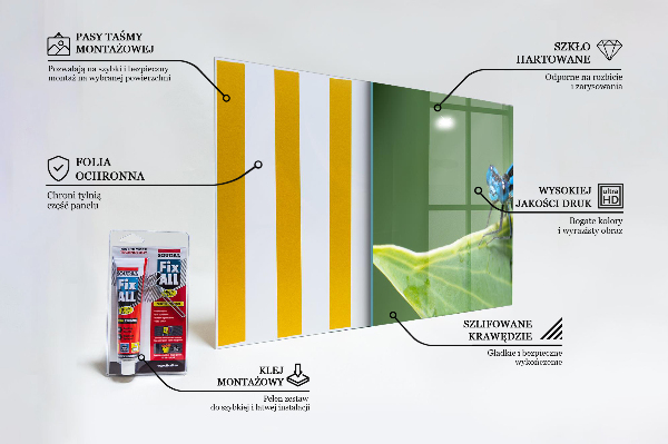 Achterwand keuken Libel op een blad
