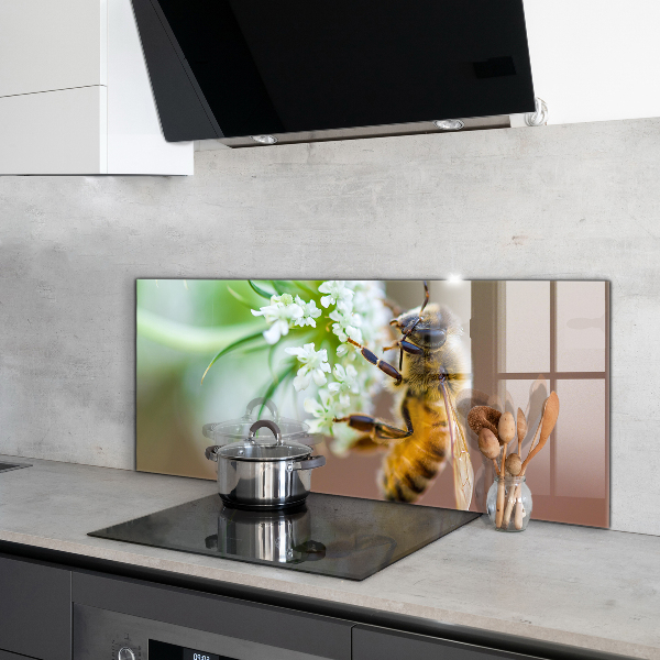 Keuken achterwand glas Bijen die stuifmeel verzamelen