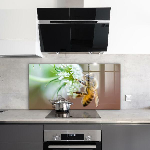 Keuken achterwand glas Bijen die stuifmeel verzamelen