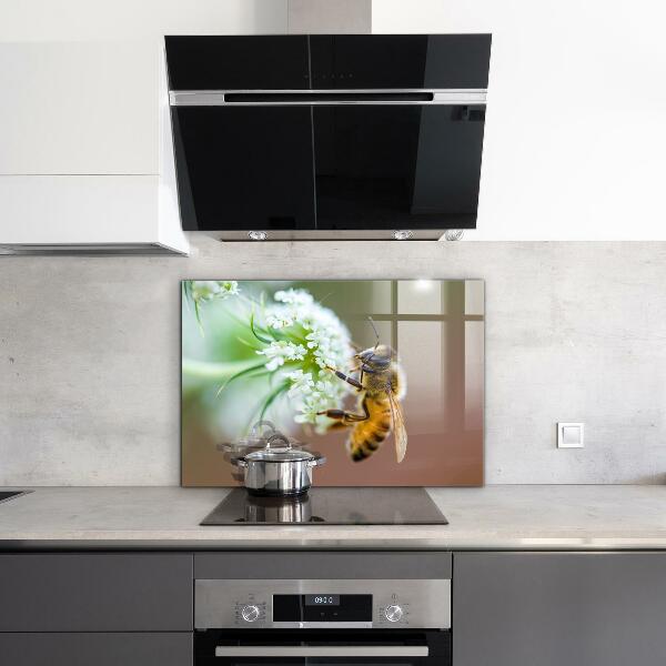 Keuken achterwand glas Bijen die stuifmeel verzamelen